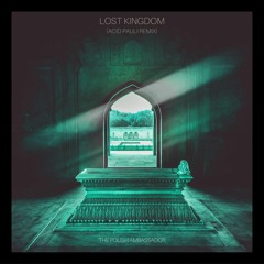The Polish Ambassador -  Lost Kingdom (Acid Pauli Remix)