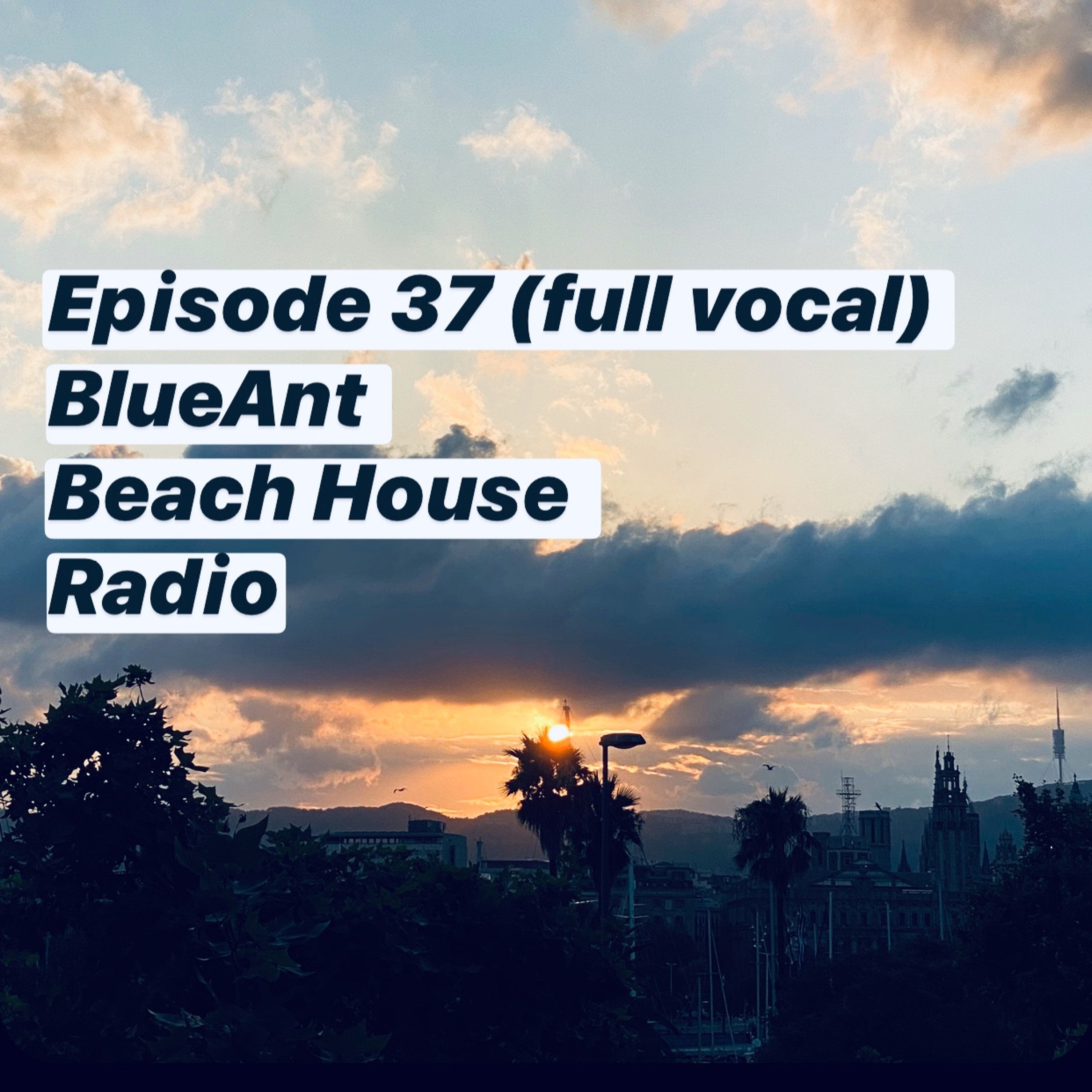 BlueAnt Beach House Radio