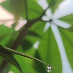 ♪ Heart of Teradis v3 ♪