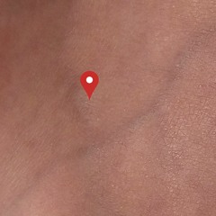 C'est Toujours Flavia