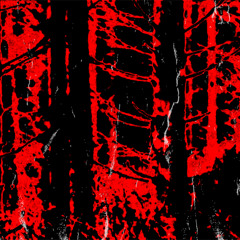 CSMR - MALUM MORTUUM