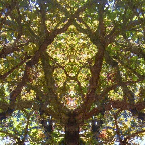 Morphin - PSYBIENT CHILLOUT AMBIENT DUB PROGRESSIVE PSYCHEDELIC