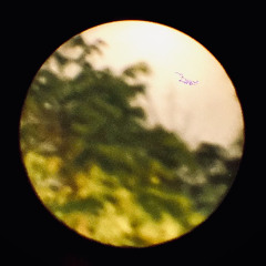 Paranormal Trip Into The Glimmering Sunset Vol. I