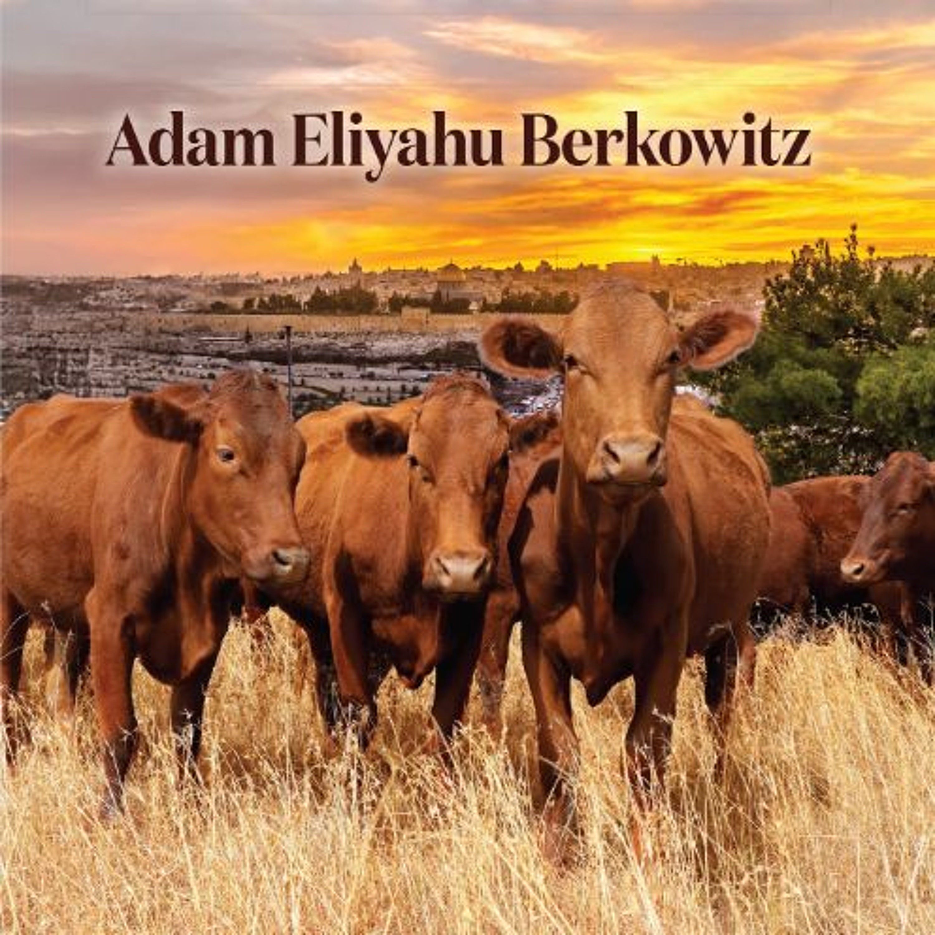 Terrorists Don't Want Biblical Prophecies to Come True! - The Tamar Yonah Show