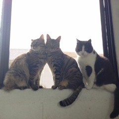 07 Japan as 51st state of USA