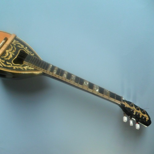 Small lute top