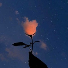 Ulises Bueno - Lucecita En Vivo Adelanto De Lo Que Se Viene 2017