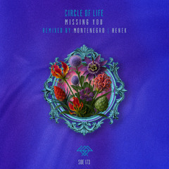PREMIERE: Circle Of Life - Missing You (Henek Remix) [Sounds Of Earth]