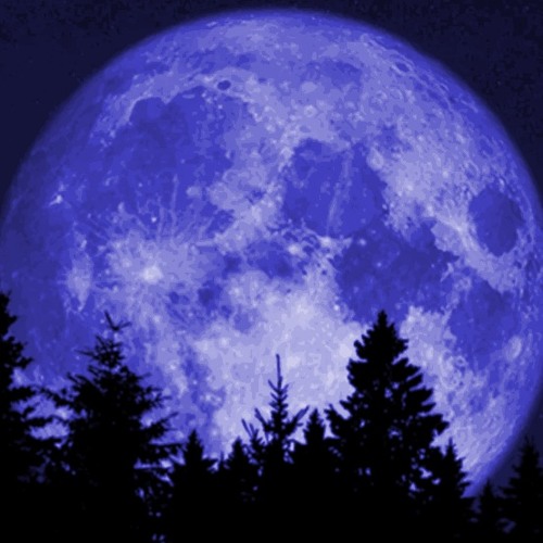 I Can't Feel the Moon