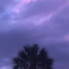 lie (interlude) [prod.gmf]