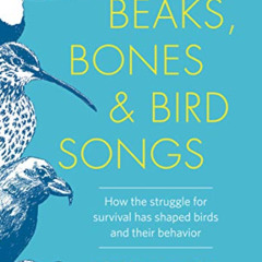 download PDF 💌 Beaks, Bones & Bird Songs: How the Struggle for Survival Has Shaped B