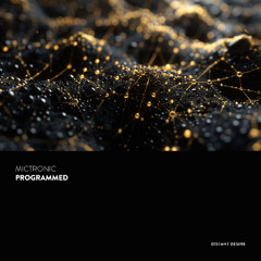 DDR021 | Mictronic - Programmed [Distant Desire Records]