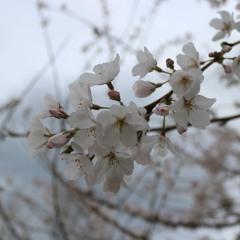 HUMAN ERROR RADIO EPISODE 2