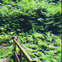 SLOWWALKER-SLUGCOVEN.mp3