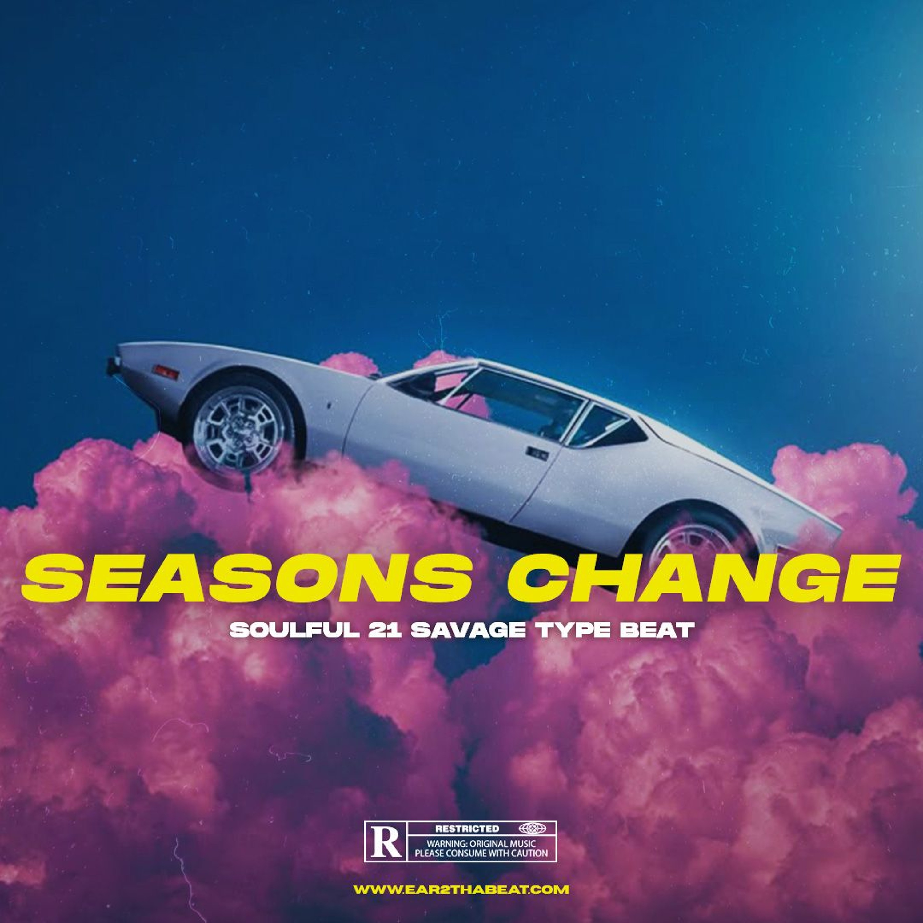 SEASONS CHANGE 🍃 (Soulful x 21 Savage Type Beat) episode artwork
