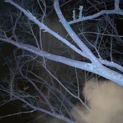 [BEAT] Smooth 90 D Major (prod. Vedros)