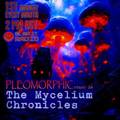 Pleomorphic - The Mycelium Chronicles Ep 002