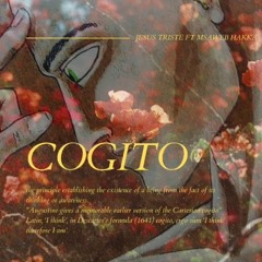 COGITO FT MSAWEB HAKKA