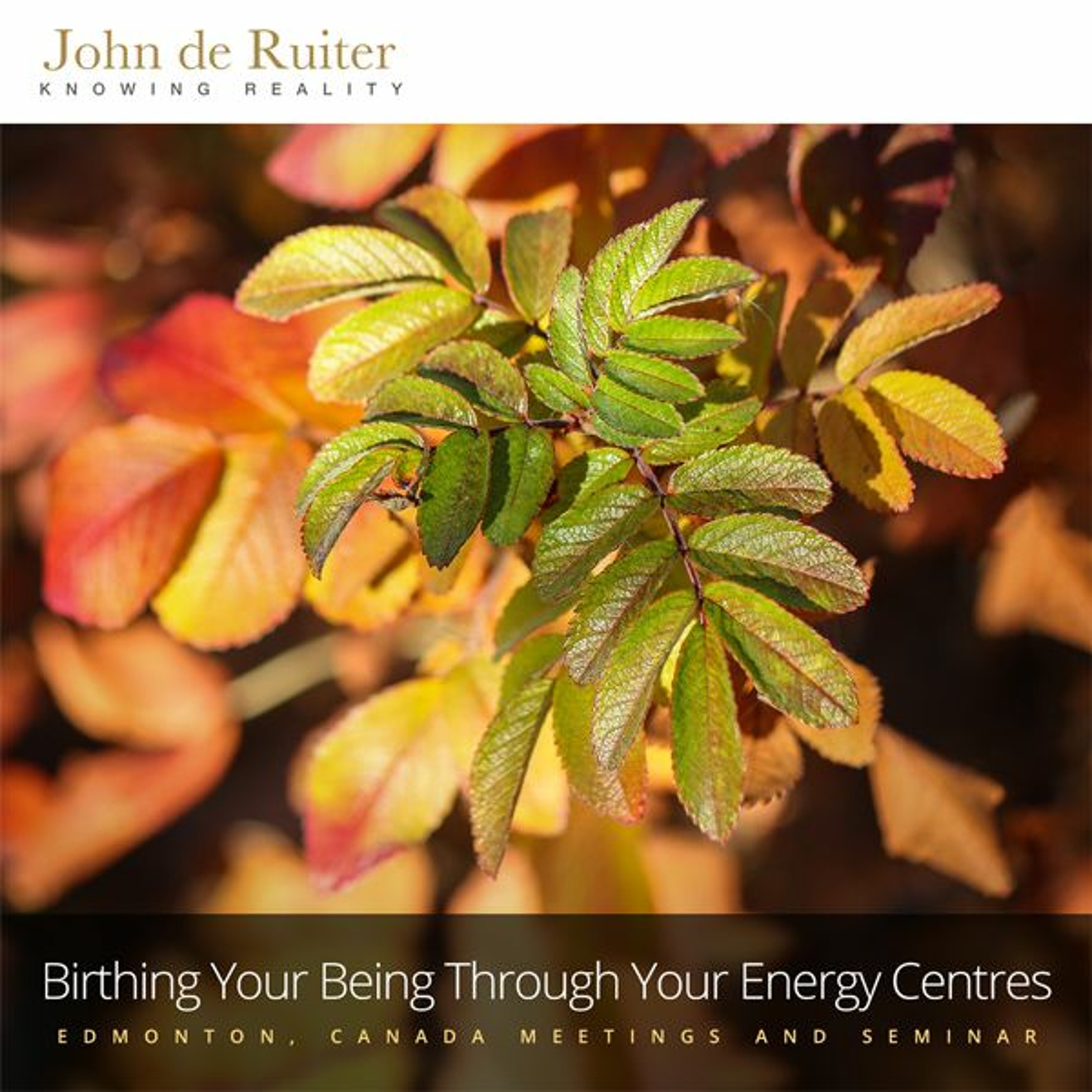 291 - Birthing Your Being Through Your Energy Centres - 3 of 3 episode artwork