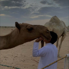 محاوره منيف منقره و عبدالله الذيابي