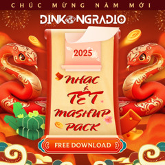NHẠC CHƠI TẾT 2025 MASHUP PACK - DINHKONG RADIO [ FREE DOWNLOAD ]