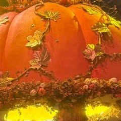 mAyEkEyE - Winning is Losing