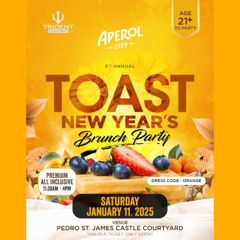 Toast New Year's Brunch Party Jan 11, 2025 Pt 2 [Live Audio]