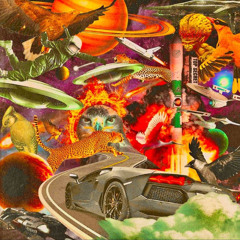 FLY SH!T COLLAGE
