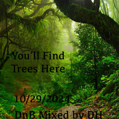 You'll Find Trees Here