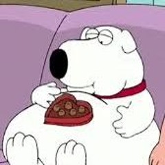 BRIAN GRIFFIN