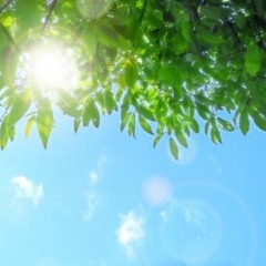 おもいで