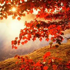 Exposure 060 - Classic and Hard Trance(5.6.2020)