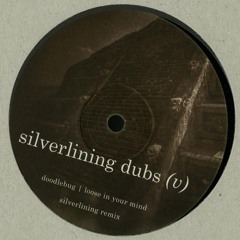Doodlebug - Loose In Your Mind (Silverlining Remix)(snippet)