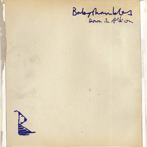 Babyshambles - Sticks and Stones