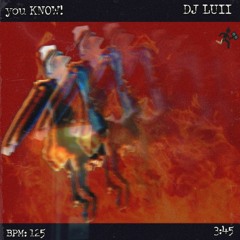 DJ LUII - you KNOW !