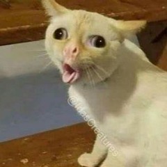 Do i need to describe it tho