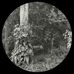 Franco Alesso - 20.23 (Original Mix)