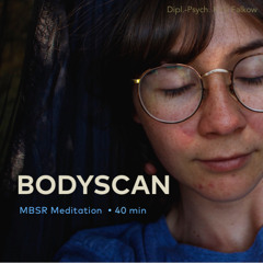 MBSR Meditation Body Scan Deutsch / German