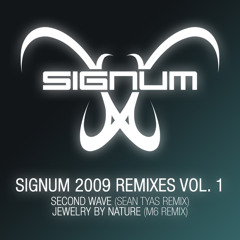 Second Wave (Sean Tyas Third Wave Mix)