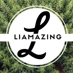 LIAMAZING - Dig (instrumental Beat Trap Hip Hop Chill Rap)