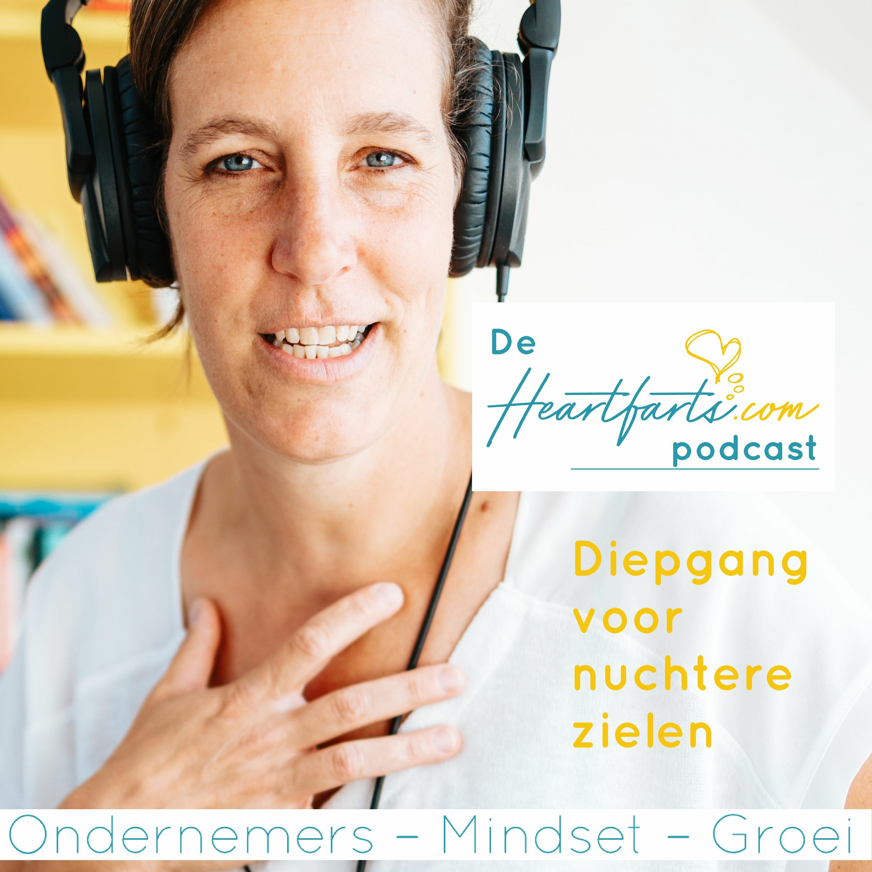 Digitale Ondernemers Podcast