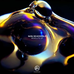 Non Reversible - Resolute EP - Soma Records [SOMA649D]
