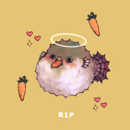 pufferfish eating a carrot freestyle (w/toro & jaywalk) (prod. me)