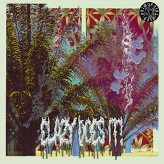 [Premiere] elazy - arson