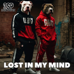 2 Sick Puppiez - Lost In My Mind