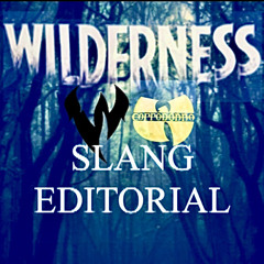 Slang editorial feat. Cappadonna-Wilderness mix