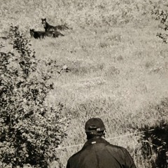 Swipe For Money (Aminé Bootleg)