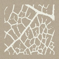 Dotwish - Forwards PREVIEW