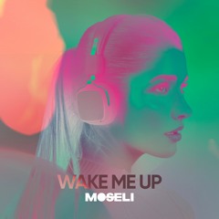 Avicii - Wake Me Up (Moseli  Remix)