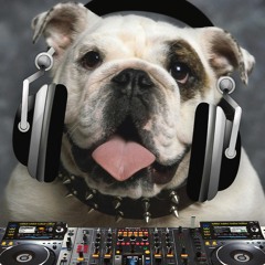 Trutopia - ID